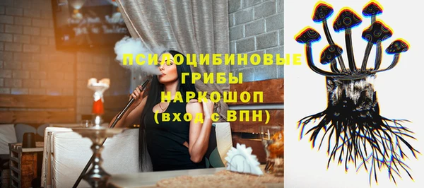шишки Володарск