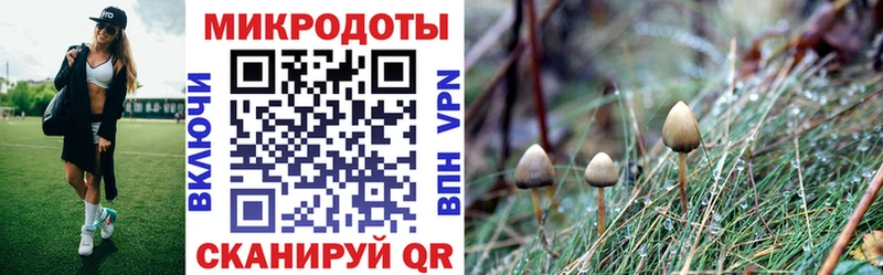 Псилоцибиновые грибы GOLDEN TEACHER  Назарово 